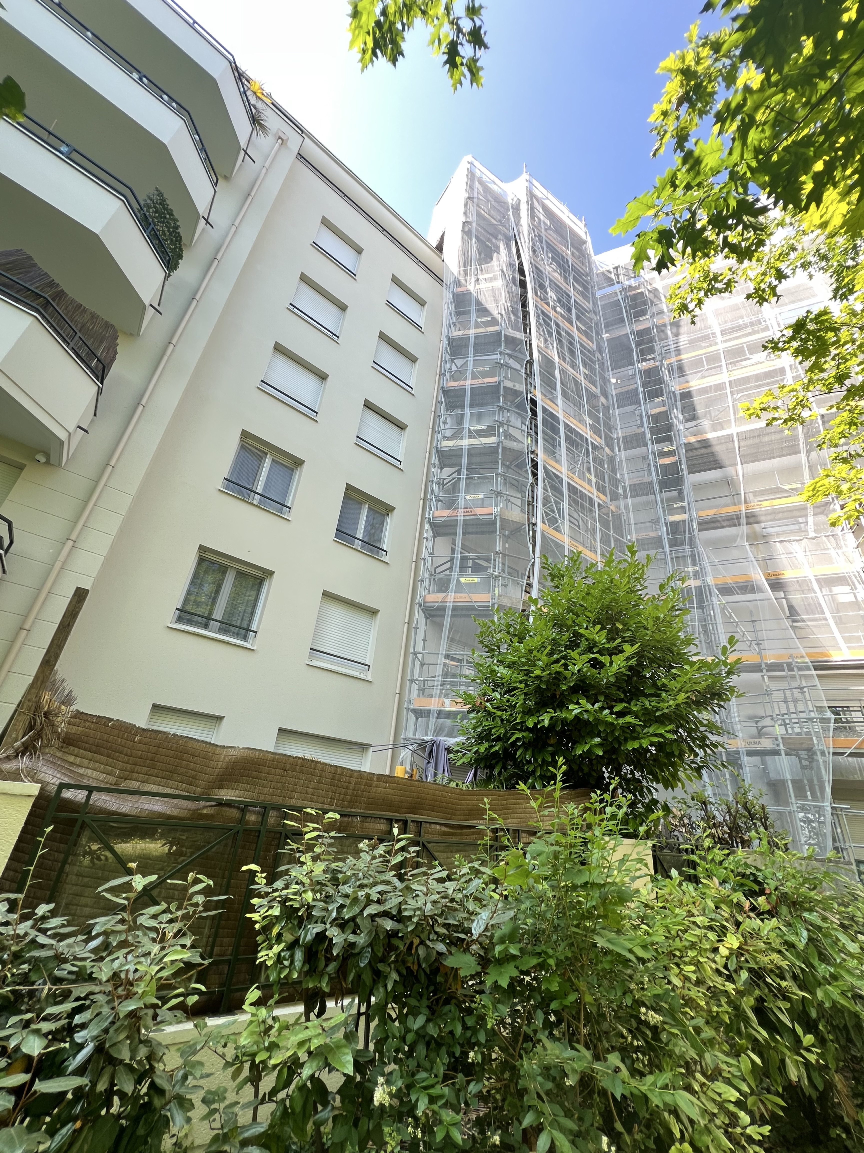 Projet Rosny/Tulipier 1