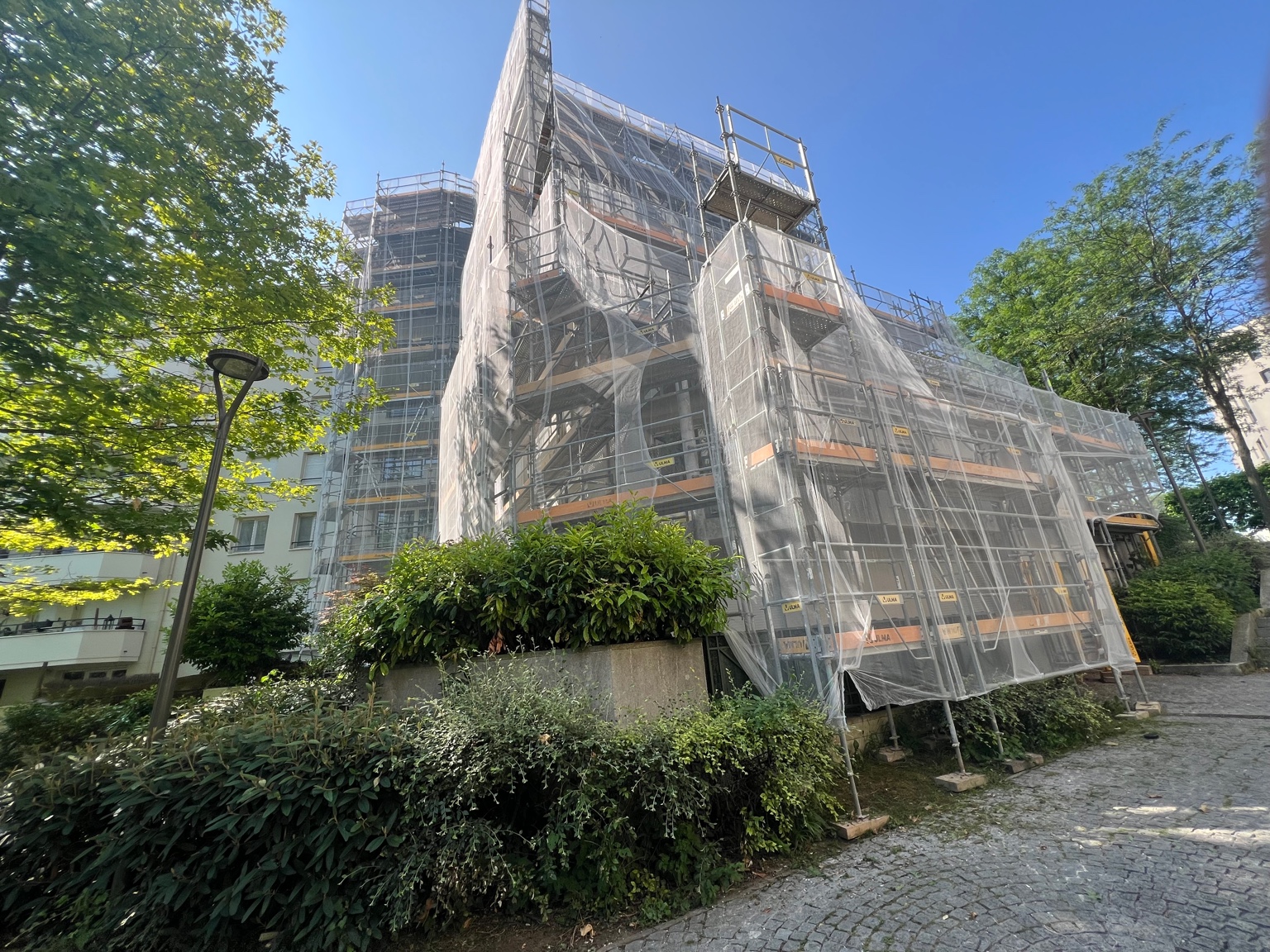 Projet Rosny/Tulipier 3
